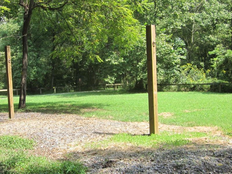Horse highlines, scattered around perimeter of campground