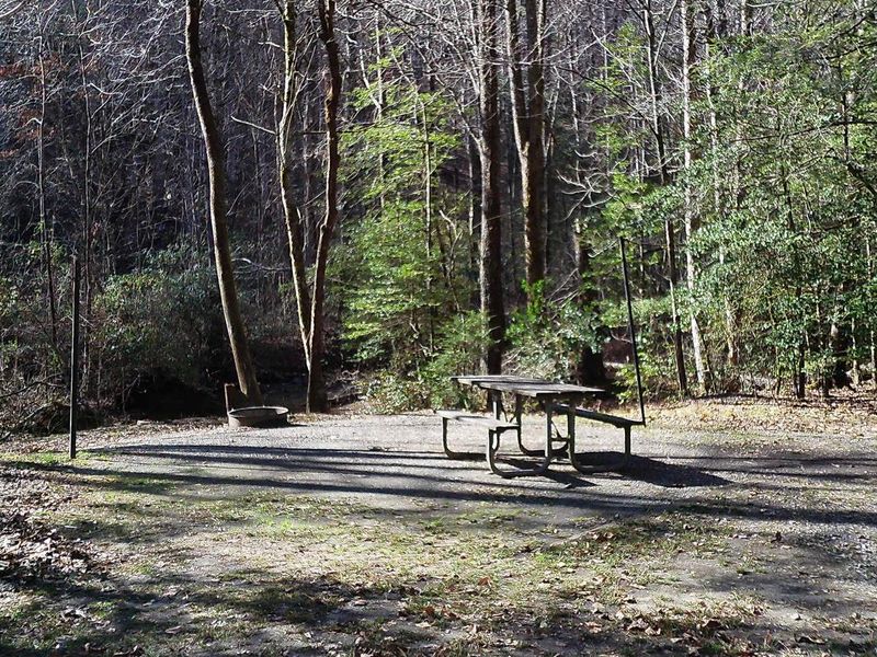 A beautiful creek side site #16