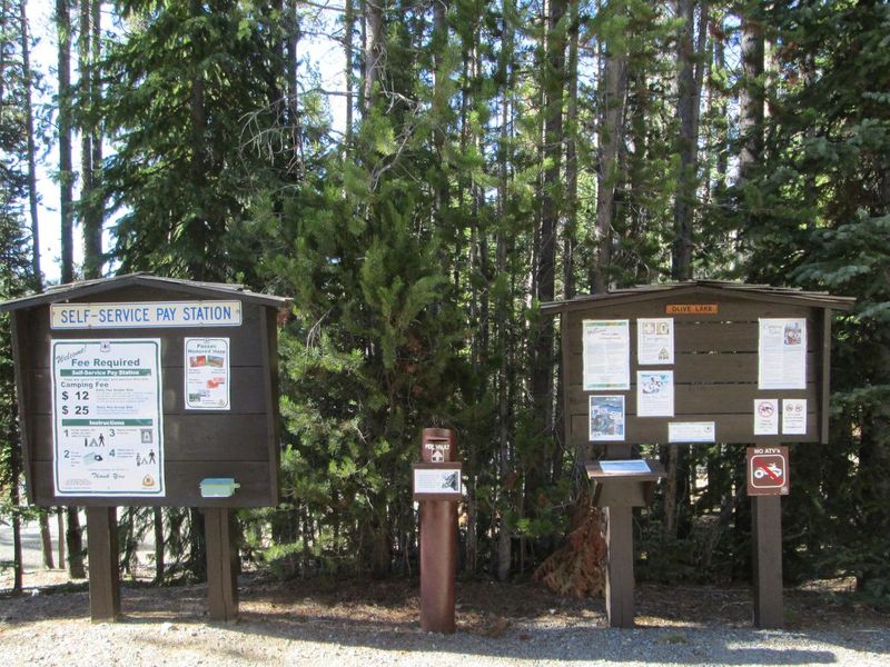 Olive Lake Campground Information and fees