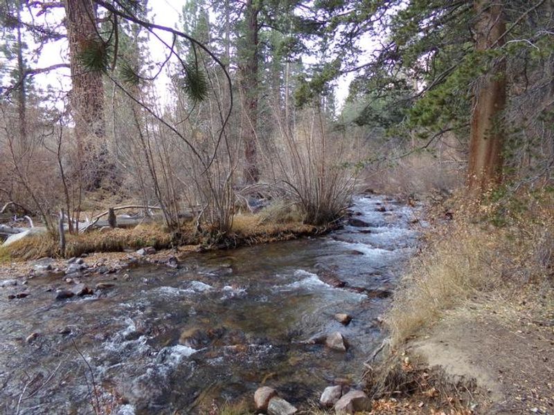 Fishing creek at Bishop Park 