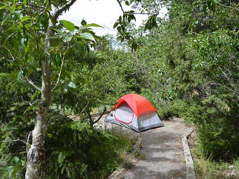 Photo of campsite with tent