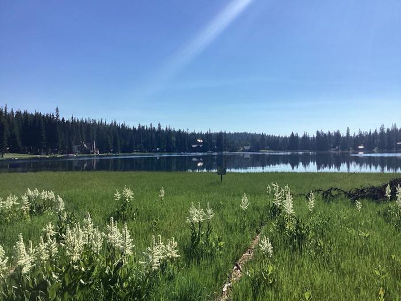 A photo of facility Woodward Campground lake access prohibited 
