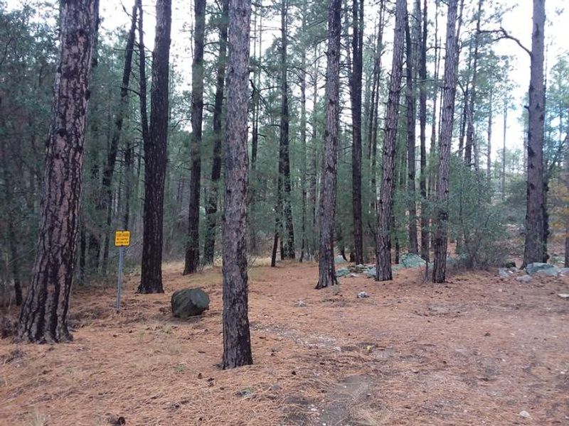 Turney Gulch Camping Area