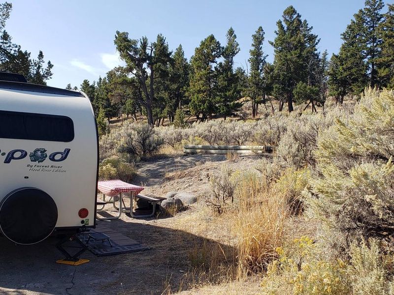 Mammoth Campsite #64