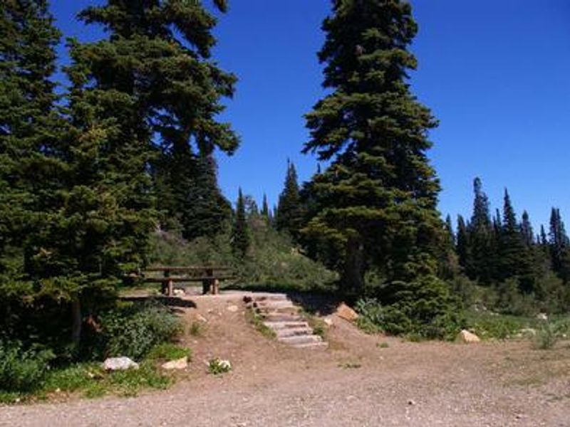Site 4 with raised picnic area.