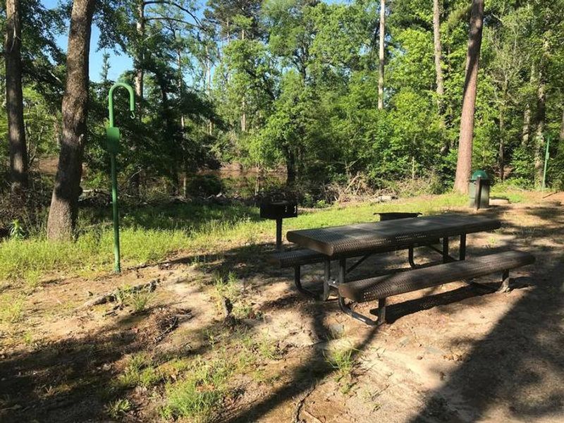 Campsite #6. Tent site with the following amenities: fire-pit, grill, picnic table, lantern pole, trash can. Located along bayou.