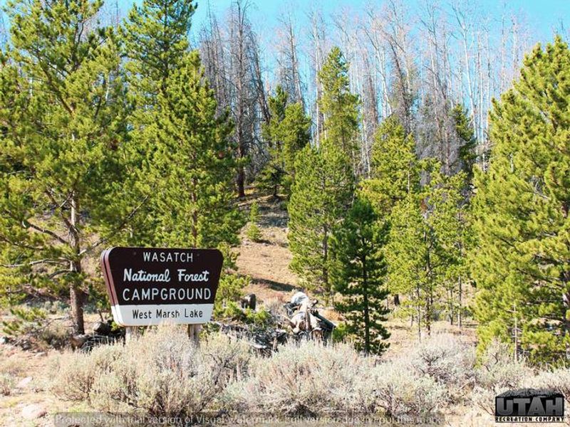 Marsh Lake Campground
