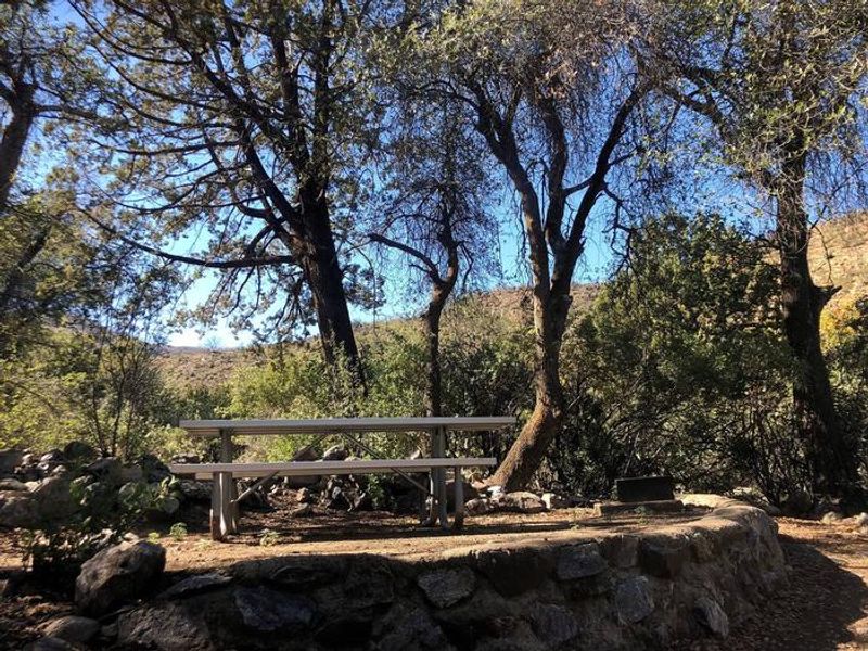 Picnic/Camp Sites nestled in forest adjacent to group area.