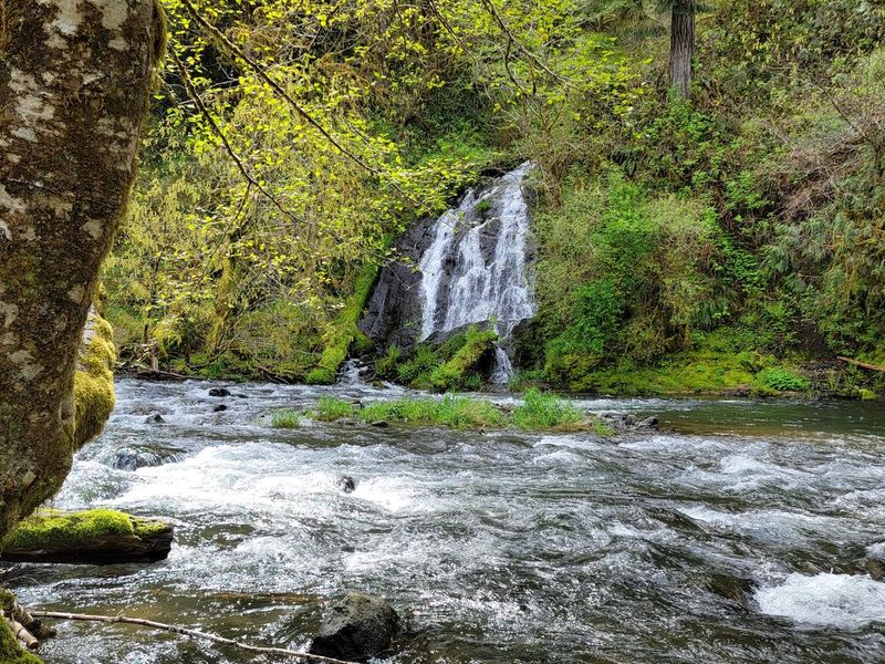 Waterfall from campsite 9 at Alder Glen