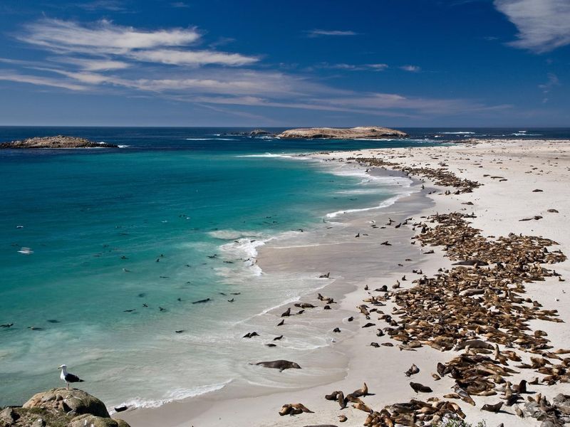 Point Bennett, San Miguel Island