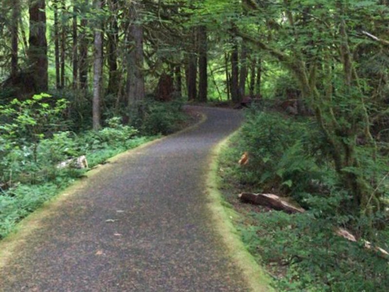 Cascade Stream Watch Trail 
