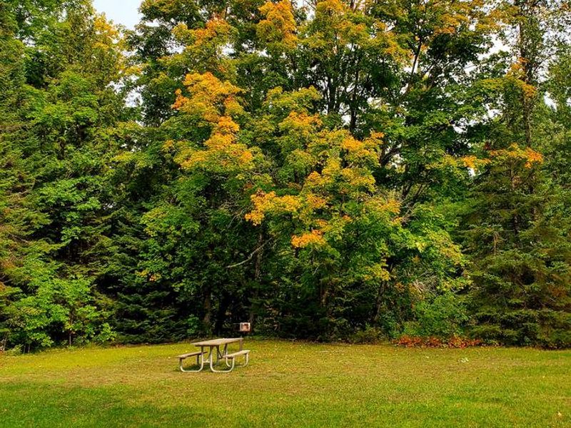Recreation area located at the Flowing Well Campground on the Hiawatha National Forest