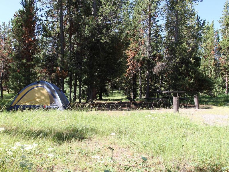 Indian Creek Campground site #11