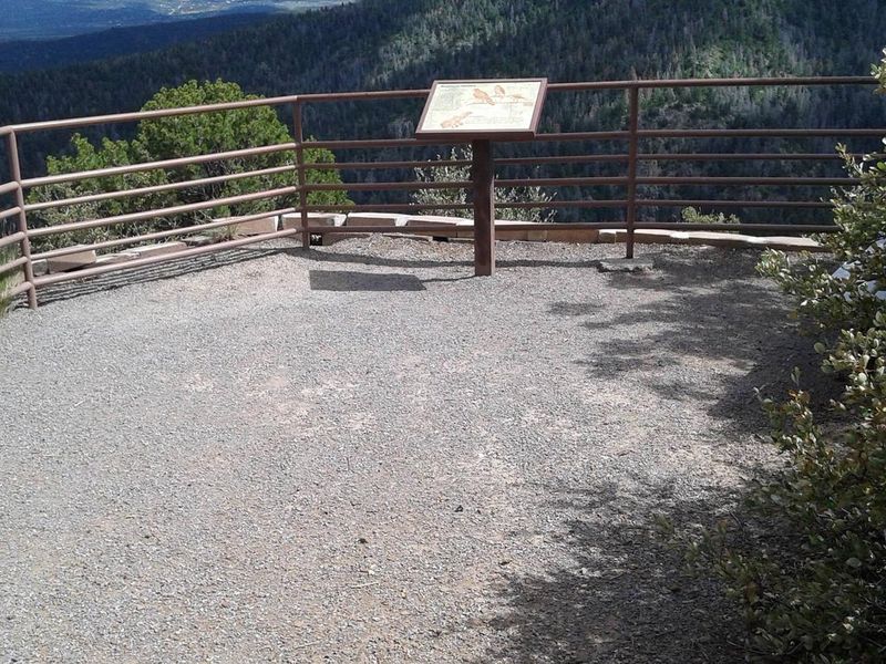 Inside the Pavillion