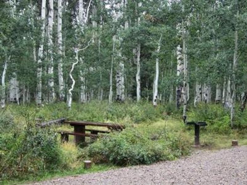 Campsite at Warner Lake