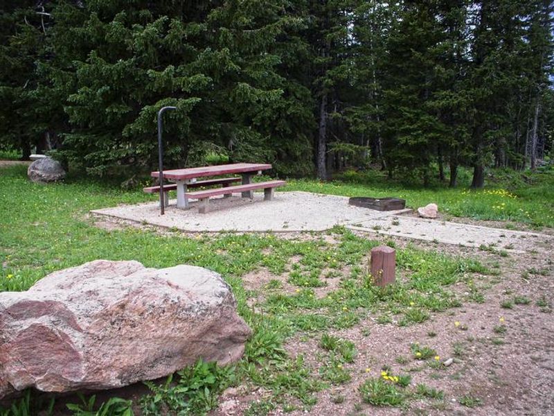 Bald Mountain Site 12