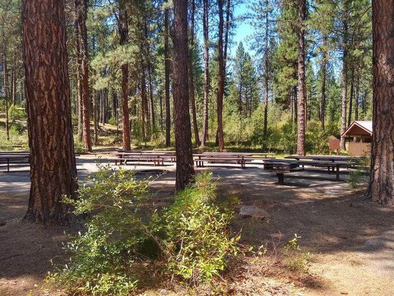Grayback Group A picnic area.