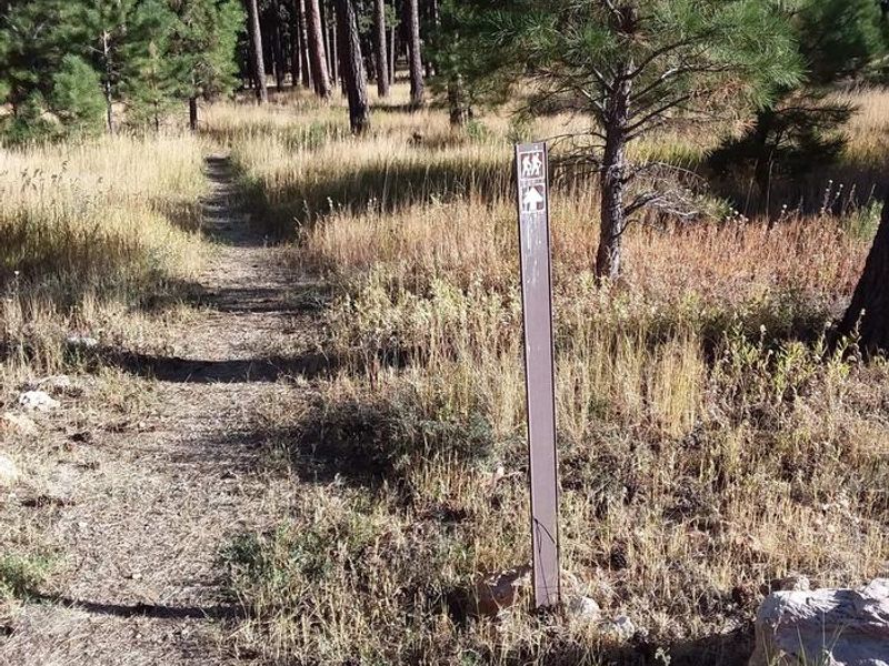 Trail head  at Jacob Lake