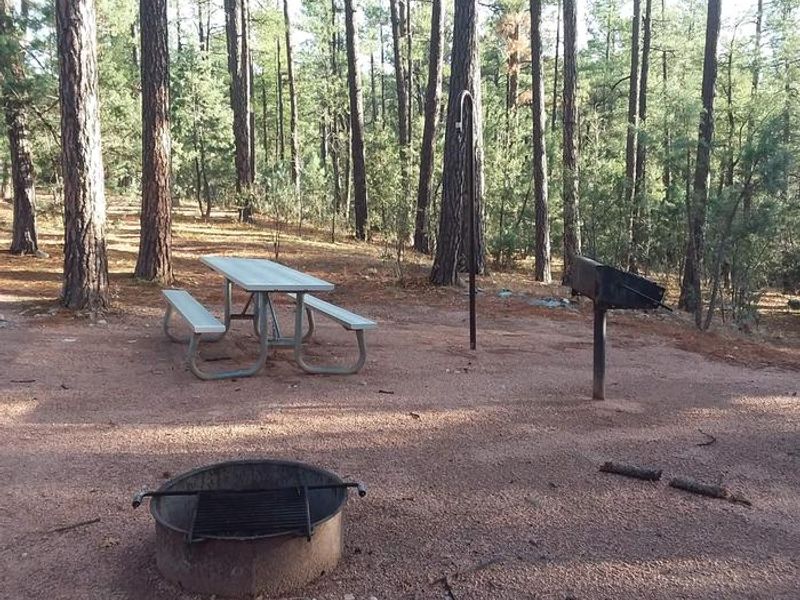 Sharp Creek Standard Campsites all include a picnic table, fire ring, grill, and lantern pole