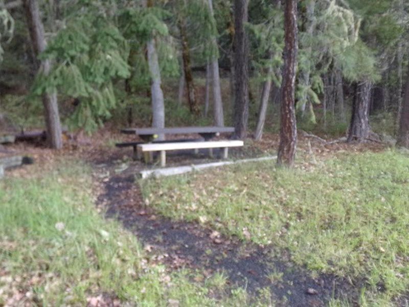 Picnic Area