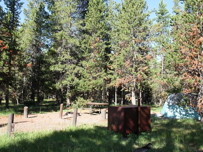 Indian Creek Campground site #16