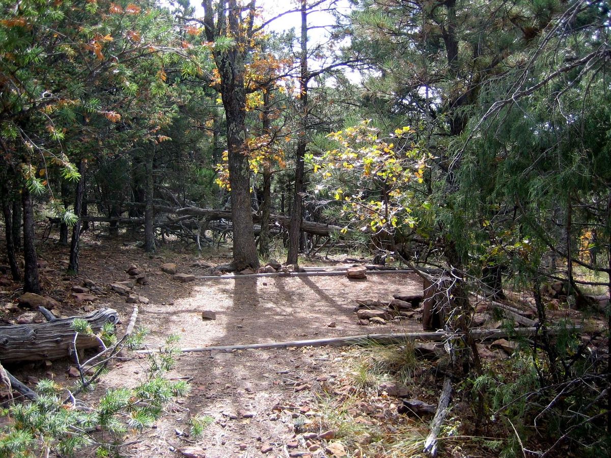 Mckittrick Ridge Wilderness Campground