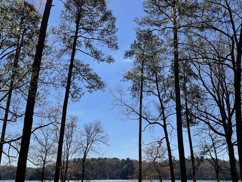 Older wooden fishing pier.