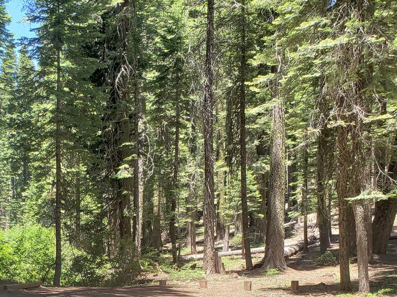 Grizzly Creek Campground