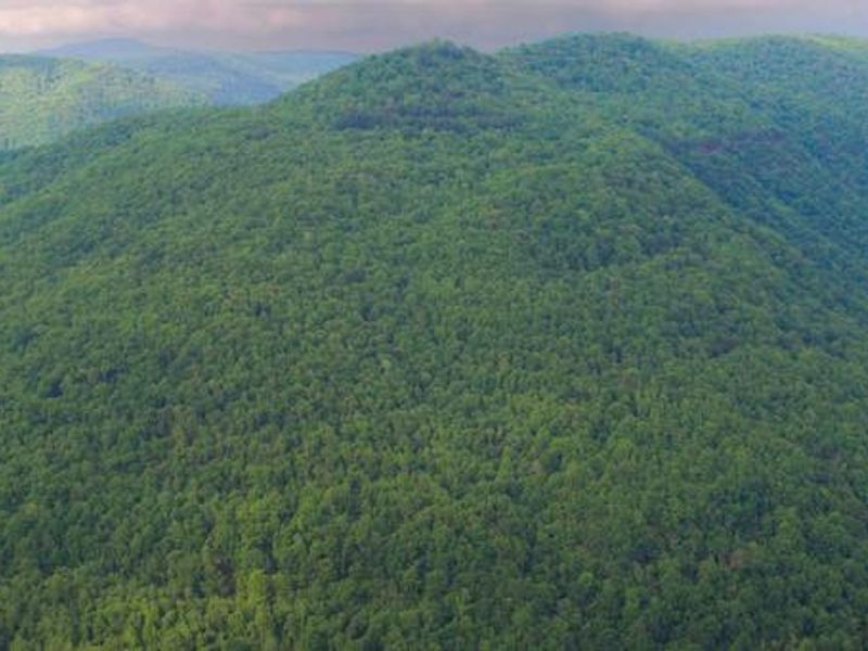 View from Main Overlook