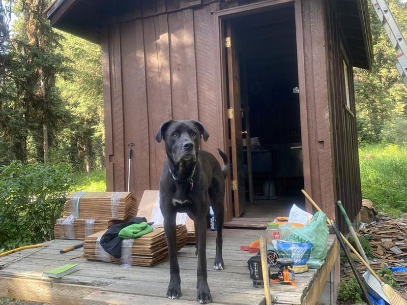 Front porch and entrance to cabin
