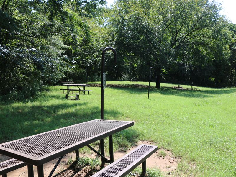 Tent camping sites available near the Buffalo River access point at Ozark Campground.