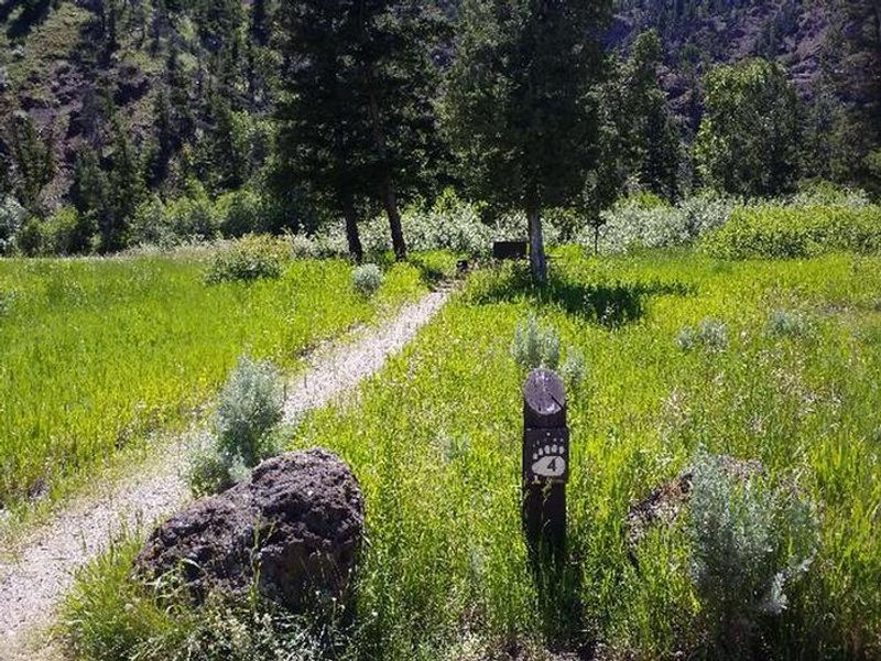 Campsite #4 Entrance