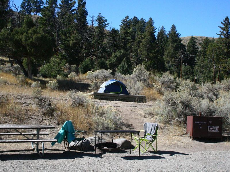 Mammoth Campsite #84