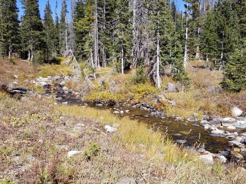 Nash Fork Campground