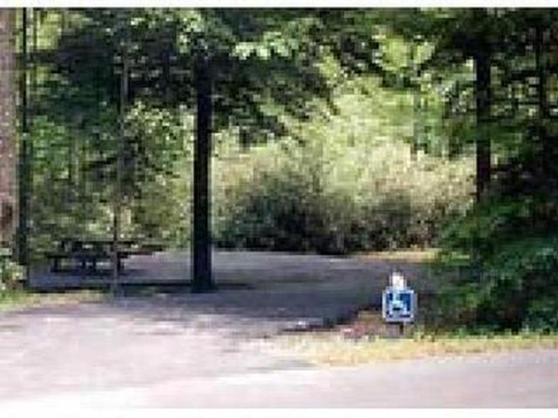 Campsite in Grindstone