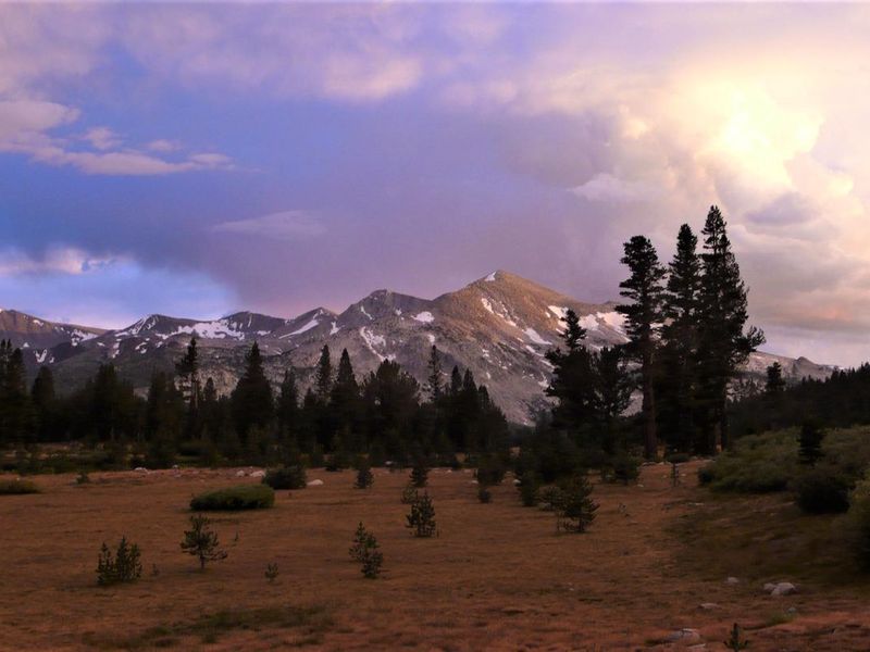Meadow and mountain view in Tuolumne area with cotton candy-colored clouds