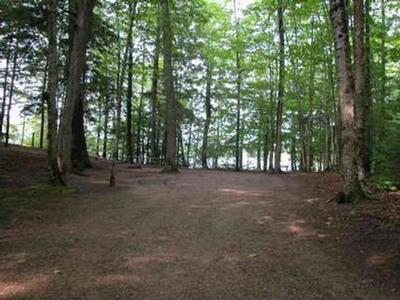 One of many sites located at the Pete's Lake Campground on the Hiawatha National Forest