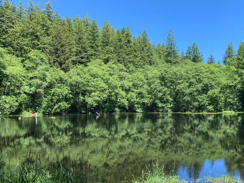 Hebo Lake Campground