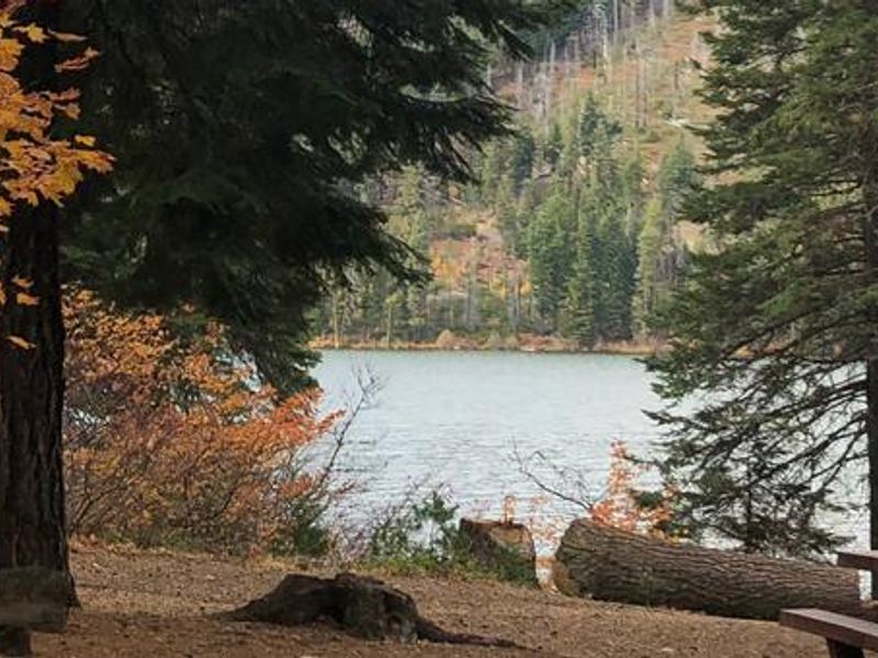 Link Creek Campground in Fall
