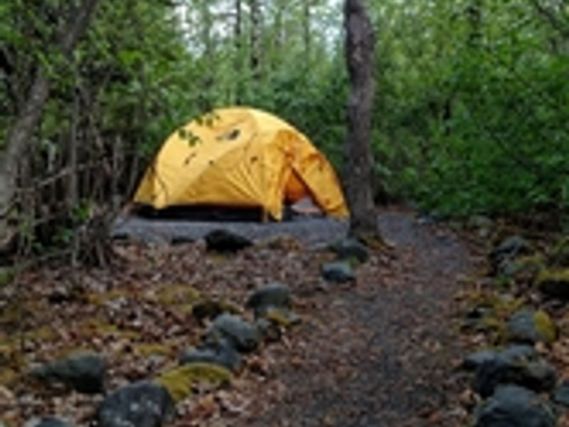 Each site has room for two tents and up to 8 people.
