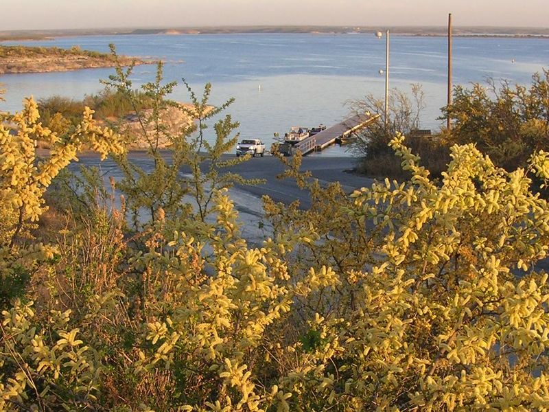 Yellow mesquite flowers frame a view of Lake Amistad National Recreation Area