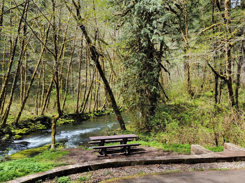 River view at campsite 2 in Fan Creek Campground