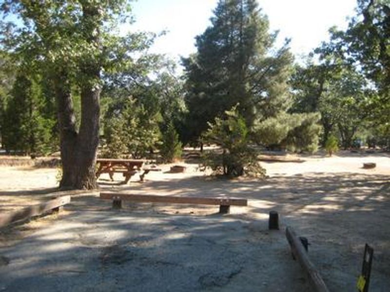 Camping Site at North Shore Campground