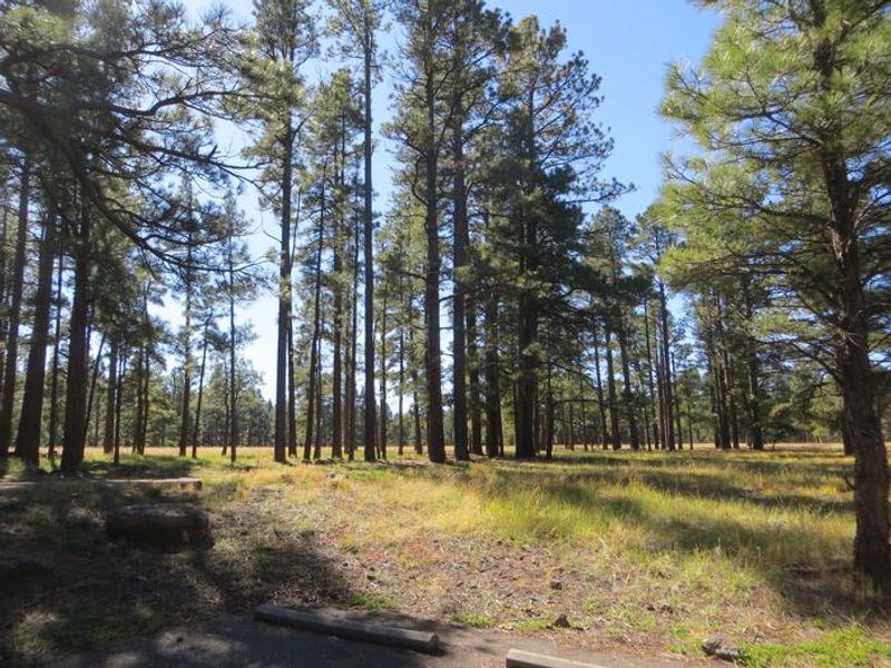 Pinegrove Campground