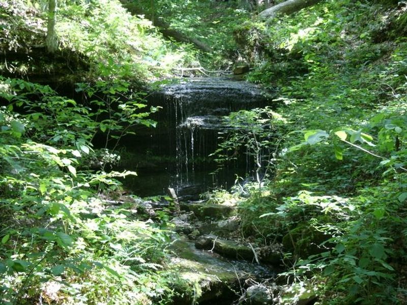 Small waterfall along a backcountry trail