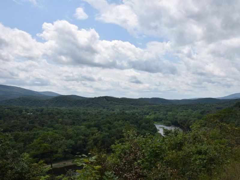 Potomac River near 15 Mile Creek