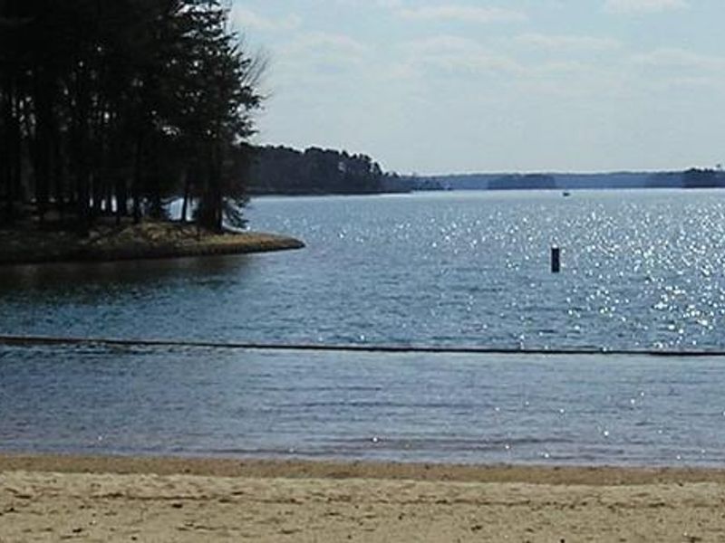 Springfield Campground Swim Beach - located between sites 26 and 27
