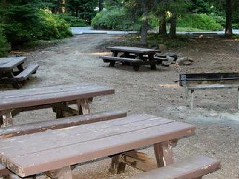 picnic area