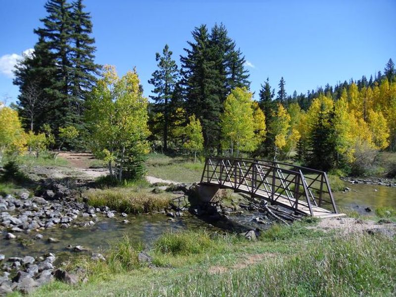 Foot bridge over the creek to the pond