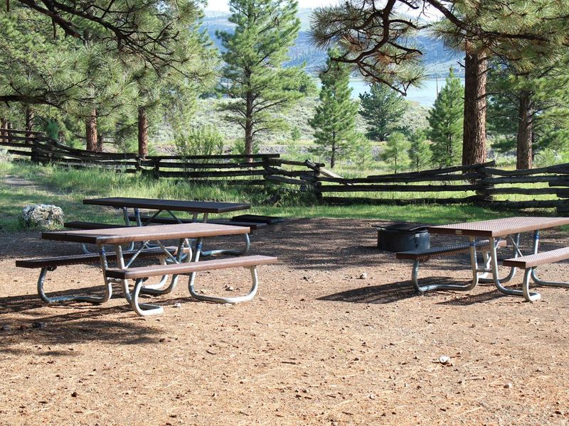 Evergreen Group site